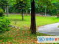 安陽(yáng)新坐標(biāo)國(guó)際學(xué)校2023年報(bào)名條件、招生要求、招生對(duì)象
