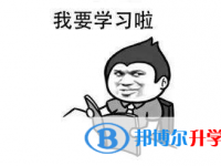 2020年曲靖中考成績(jī)查詢系