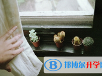 2020年玉溪中考自主招生報(bào)名
