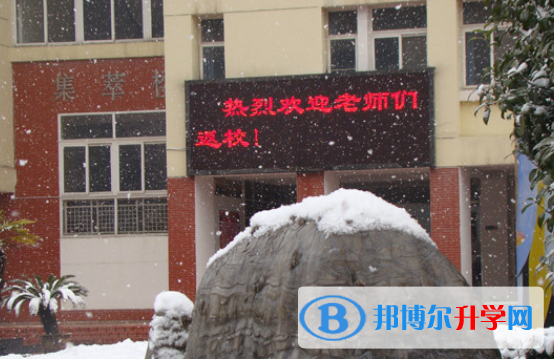 合肥世界外國語學校2020年招生簡章