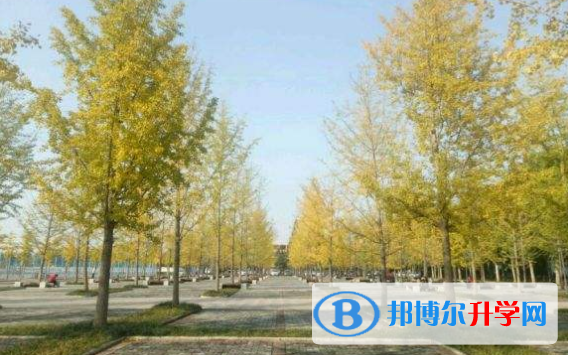 太原北辰雙語學校2020年報名條件、招生要求、招生對象