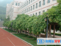 煙臺(tái)外國語實(shí)驗(yàn)學(xué)校2023年招生計(jì)劃