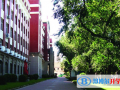 哈爾濱第九中學(xué)國際部江南校區(qū)怎么樣、好不好