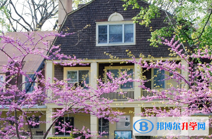 馬可波羅國際學校2020年報名條件、招生要求、招生對象