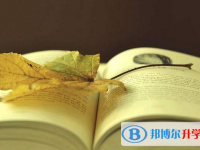 2020年思茅中考體育成績對(duì)照表