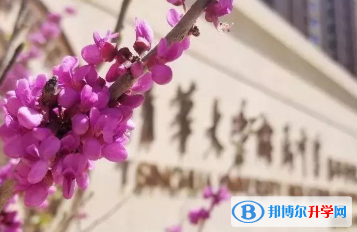 清華大學附屬中學國際部怎么樣、好不好