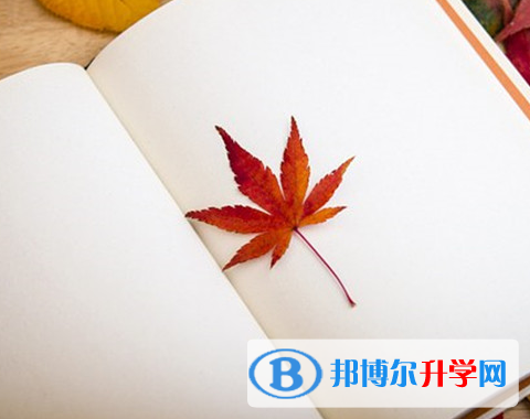 2021年紅河中考報考攻略