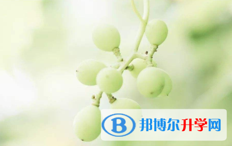 2021年寶雞中考沒考好怎么辦