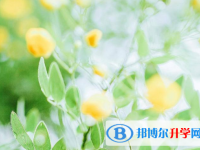 2021年文山今年中考哪些學校有招生