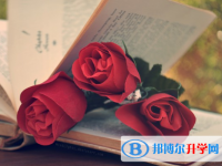 2021年大理中考查詢成績(jī)