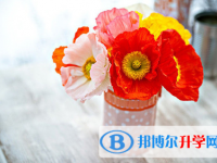 2021年大理外地生中考怎沒(méi)成績(jī)