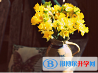 2021年大理如何查詢中考成績(jī)單