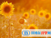 2021年大理中考成績(jī)一般讀什么學(xué)校