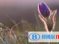 2021年宜賓查詢中考成績的網(wǎng)址