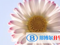 2021年宜賓網(wǎng)上查詢中考成績怎么查詢