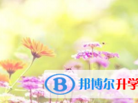 2021年宜賓中考查詢成績網(wǎng)址