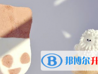 2021年宜賓中考成績公布時(shí)間