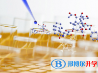 2021年雅安中考網上志愿如何打印