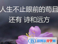2021年資陽各個(gè)學(xué)校中考錄取線