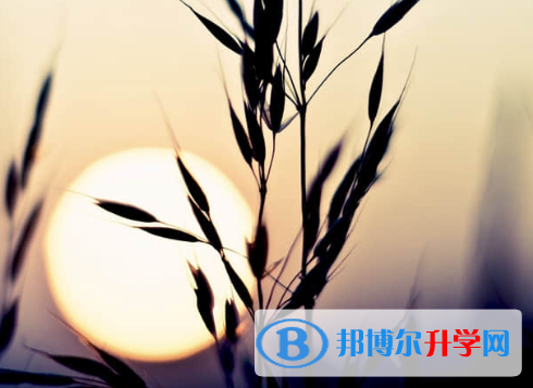 2021年資陽(yáng)中考必考公式