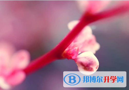 2021年資陽中考報(bào)志愿時(shí)間