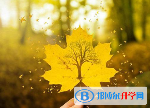 2021年阿壩中考網(wǎng)上模擬報名