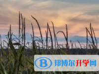 2021年甘孜中考報(bào)名自薦信怎么寫(xiě)