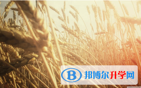 2021年渭南外地生中考怎沒(méi)成績(jī)