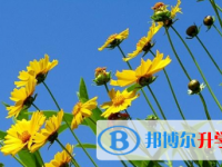 2021年涼山中考的報(bào)名號(hào)是什么