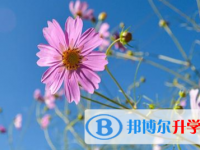 2021年涼山中考報(bào)名自薦信怎么寫