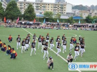 鎮(zhèn)寧民族中學(xué)2025年招生計(jì)劃