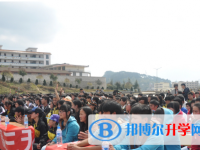 馬關(guān)縣第一中學2025年排名