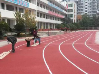 蒼溪縣歧坪中學(xué)2025年排名