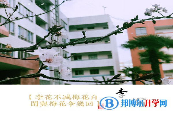 昆明實(shí)驗(yàn)中學(xué)2021年學(xué)費(fèi)、收費(fèi)多少