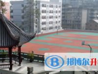 四川省樂山市草堂高級中學(xué)2025年招生代碼