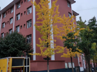 魯?shù)榭h第一中學(xué)網(wǎng)站網(wǎng)址主頁(yè)