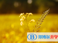2021年渭南中考報考人數(shù)