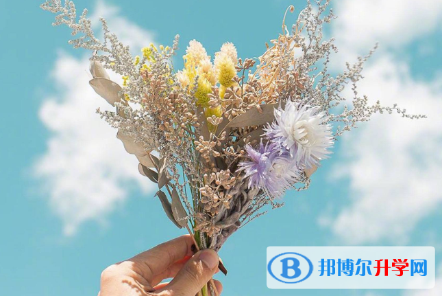 2021年廣元中考網(wǎng)上報名