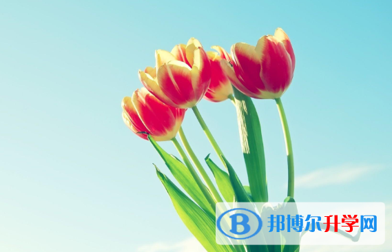 2021年廣元中考網錄取系統