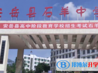 安岳縣石羊中學(xué)網(wǎng)站網(wǎng)址主頁(yè)