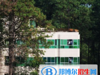 普格縣中學(xué)校2025年學(xué)費(fèi)、收費(fèi)多少