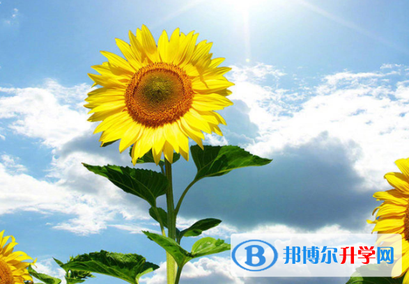 重慶中考報(bào)考學(xué)校名單