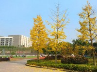 四川省廣安恒升中學(xué)2022年學(xué)費(fèi)、收費(fèi)多少