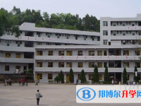 樂(lè)至縣大佛中學(xué)2025年招生簡(jiǎn)章