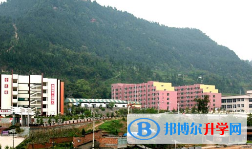 巴中龍泉外國語學校網站網址