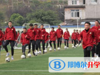 雅安市雨城區(qū)第二中學(xué)2025年學(xué)費(fèi)、收費(fèi)多少
