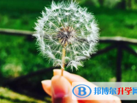 2021年咸陽中考如果未被錄取怎么辦
