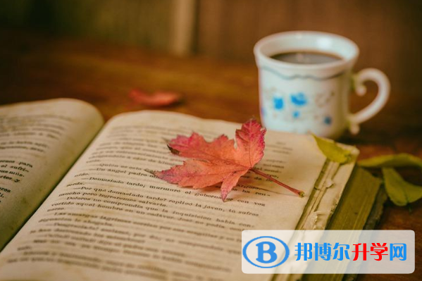 2020年自貢中考報名是哪個網站