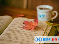 2020年自貢中考報名是哪個網站