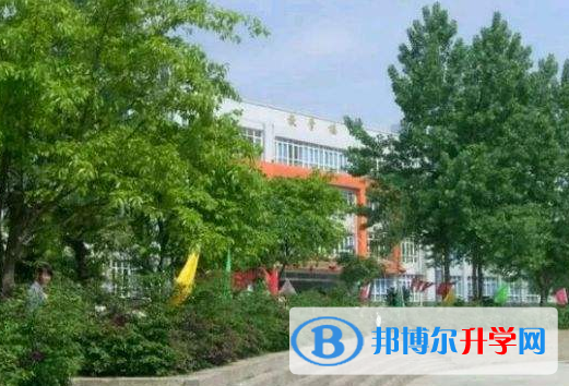 雅安市田家炳中學網站網址